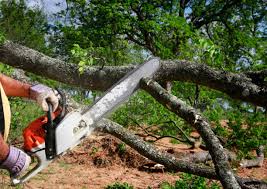 Best Utility Line Clearance  in Prosper, TX